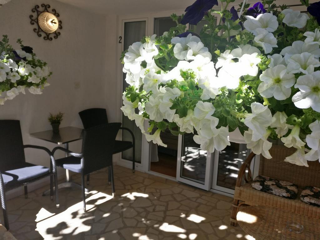 Apartments Ana - Ρόβινι Εξωτερικό φωτογραφία
